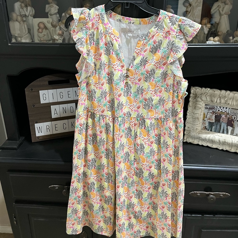 Loft dress